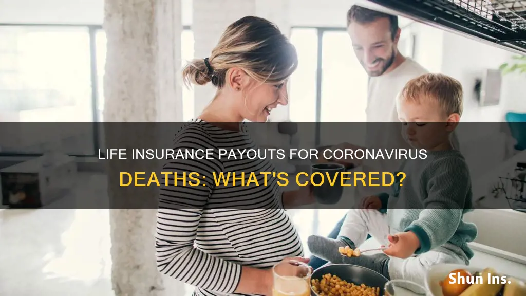 can you collect life insurance if you die from coronavirus