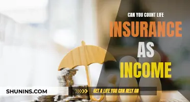 Life Insurance: A Valid Income Source?