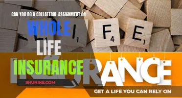 Collateral Assignment: Whole Life Insurance Options