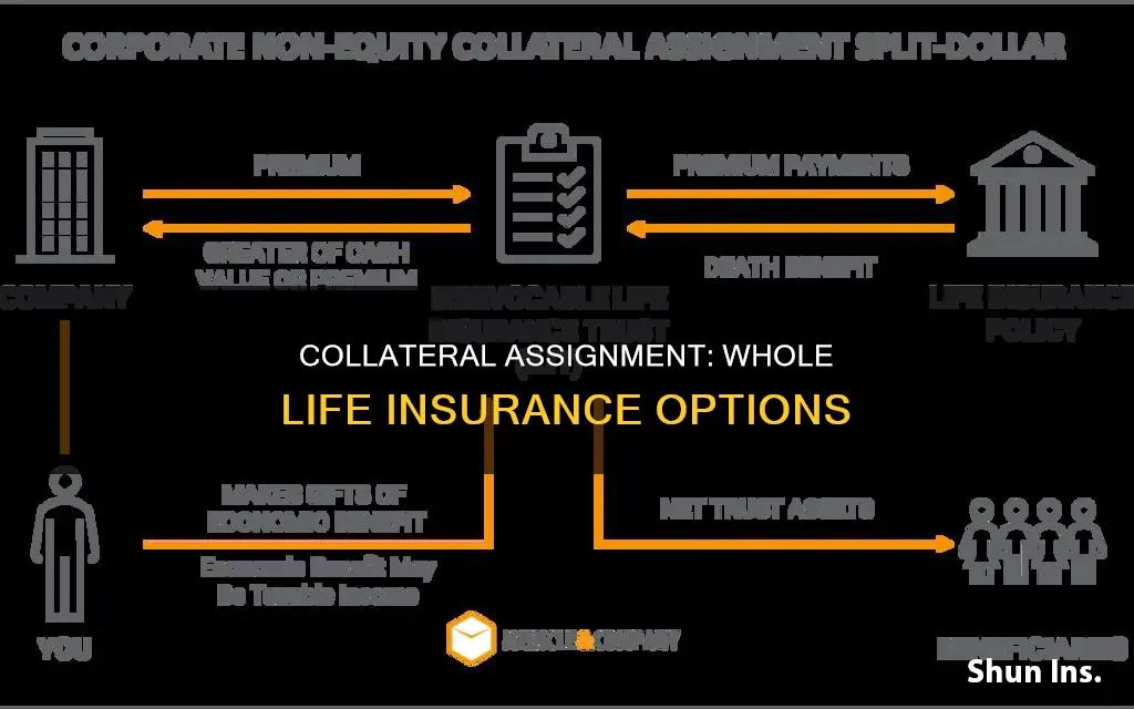 can you do a collateral assignment on whole life insurance