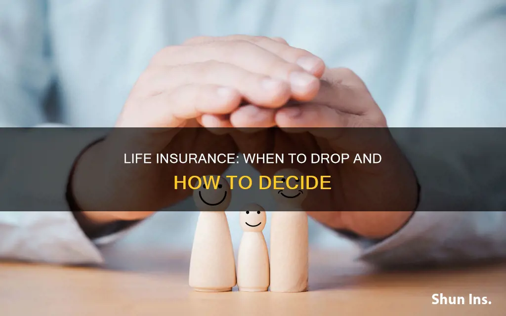 can you drop life insurance