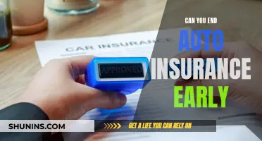 Canceling Auto Insurance Early: Options?