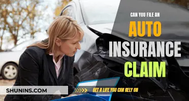 Auto Insurance Claims: Your Right to File