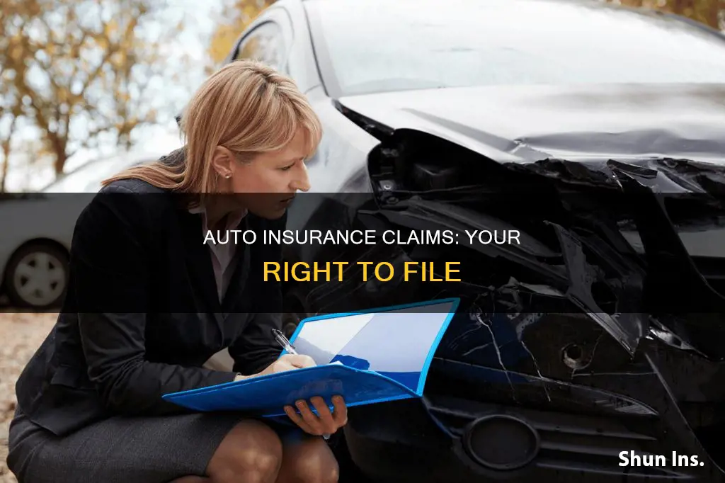 can you file an auto insurance claim