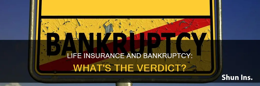 can you file bankruptsy if you get life insurance