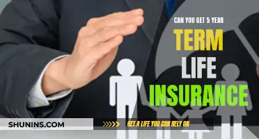 Life Insurance: 5-Year Term Option Explained