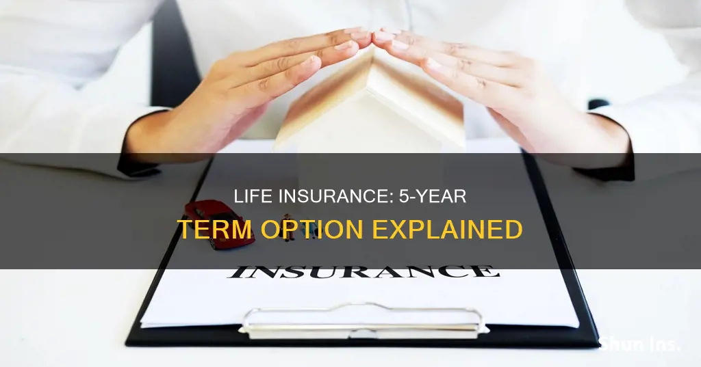 can you get 5 year term life insurance