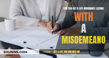 Misdemeanor and Life Insurance: Can You Get Licensed?