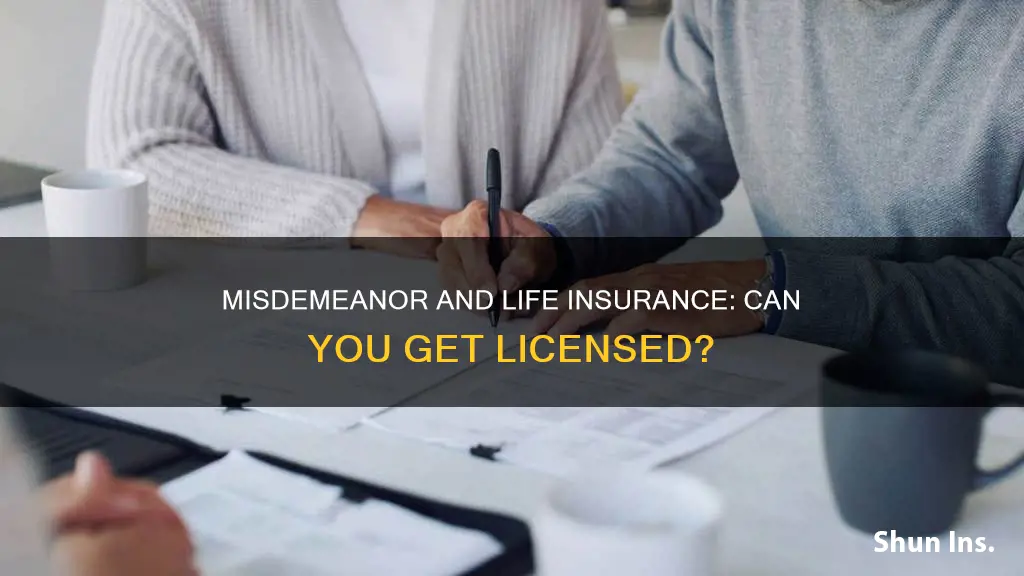 can you get a life insurance license with a misdemeanor