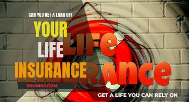 Life Insurance Loans: Borrowing Against Your Policy