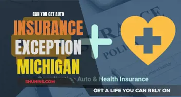 Auto Insurance Exceptions in Michigan