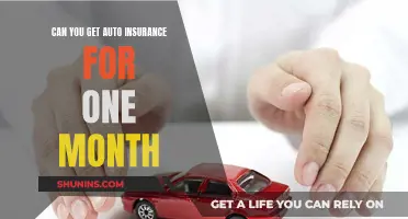 Short-Term Auto Insurance: One-Month Policies