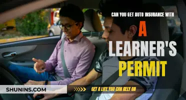 Auto Insurance: Learner's Permit Essentials