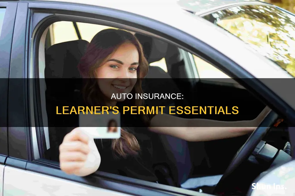 can you get auto insurance with a learner