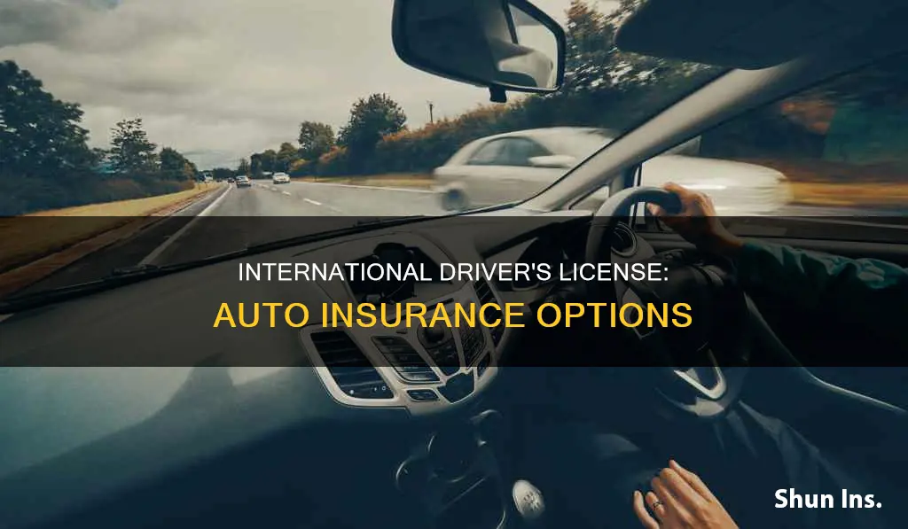 can you get auto insurance with an international driver