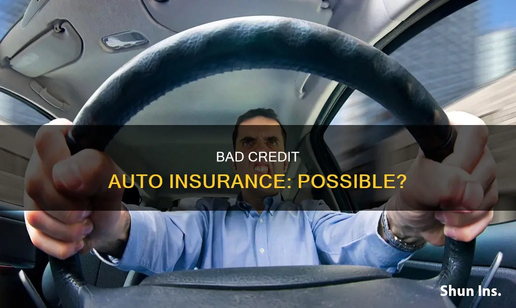 can you get auto insurance with bad credit