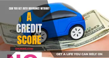 Insuring Cars Without Credit Scores