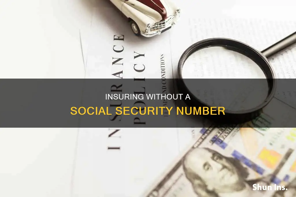 can you get auto insurance without a social security number