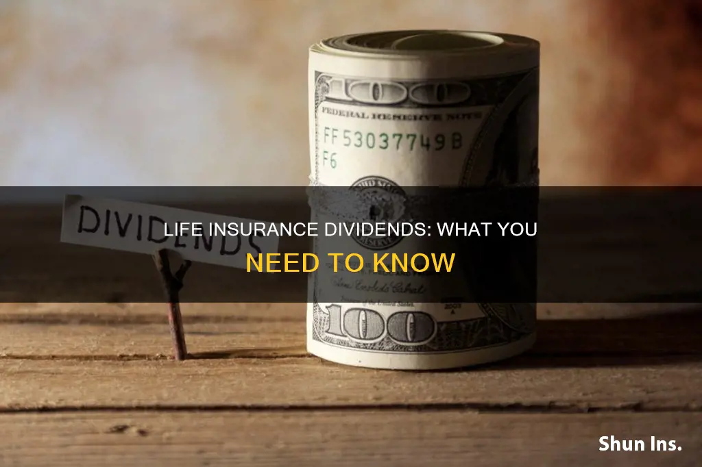 can you get dividends from life insurance