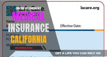 Emergency Medical Insurance: California's Options in a Crisis