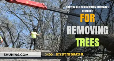 Homeowners Insurance: Tree Removal Discounts and Benefits