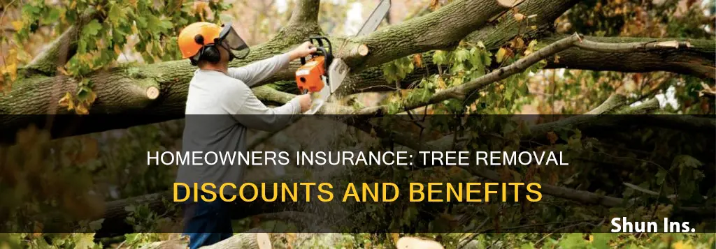 can you get homeowners insurance discount for removing trees