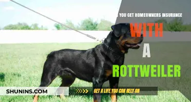 Insuring Your Home With a Rottweiler: Is It Possible?