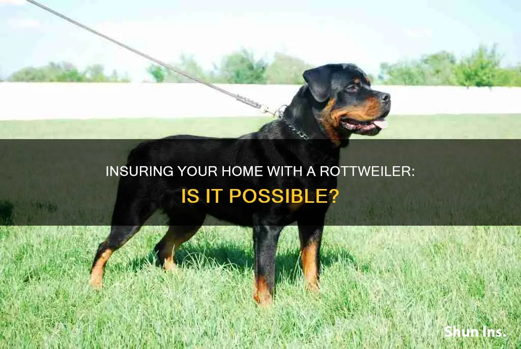 can you get homeowners insurance with a rottweiler
