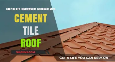 Cement Tile Roofs: Insurable or Not?