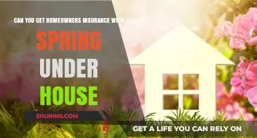 Spring Under Your House? Get Insurance Covered