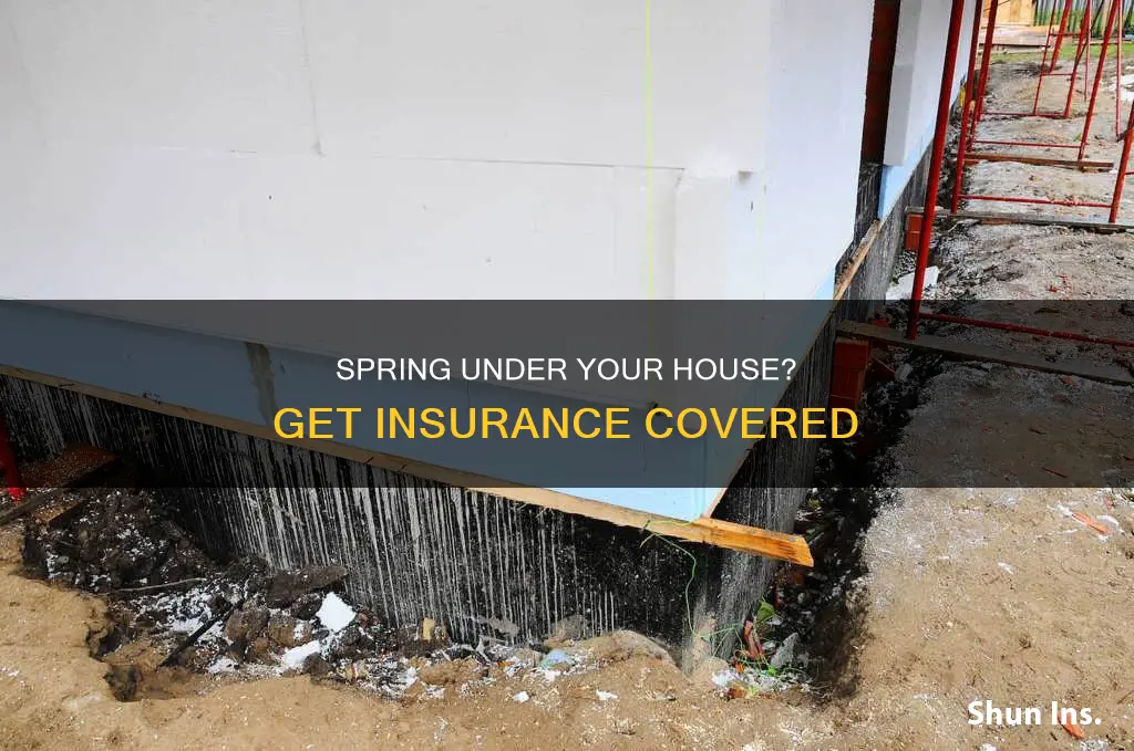 can you get homeowners insurance with spring under house