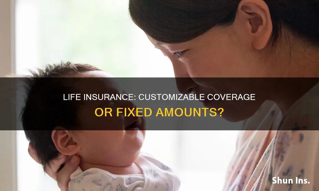 can you get life insurance for any amount