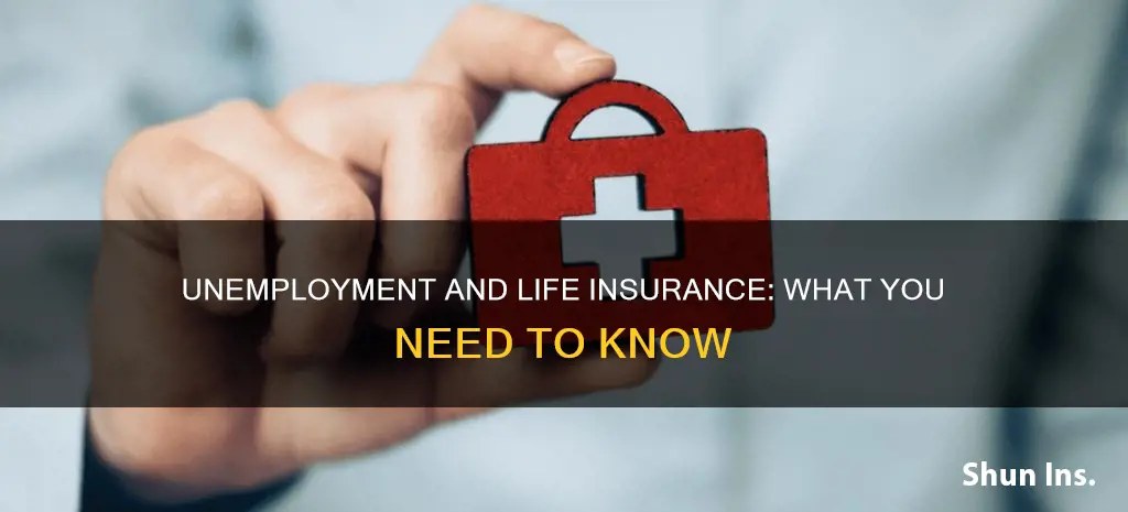 can you get life insurance if unemployed