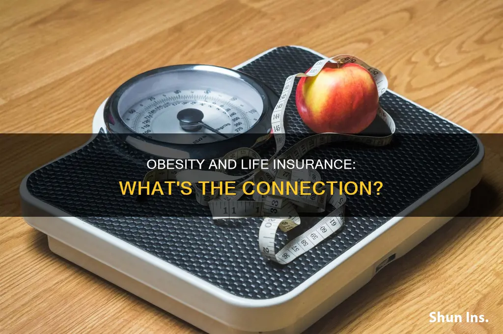 can you get life insurance if you are obese