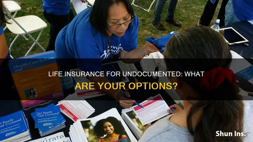 can you get life insurance if you are undocumented