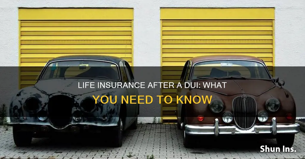 can you get life insurance if you had a dui