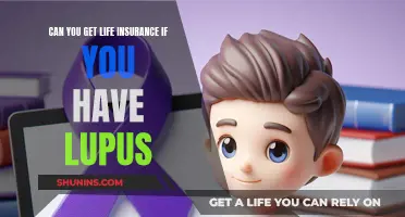 Lupus and Life Insurance: What You Need to Know