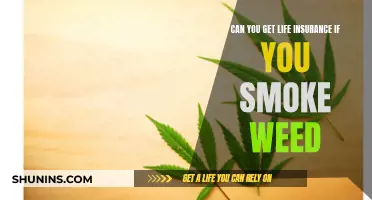 Weed Smokers: Can You Get Life Insurance?