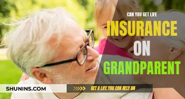 How Life Insurance for Grandparents Works?