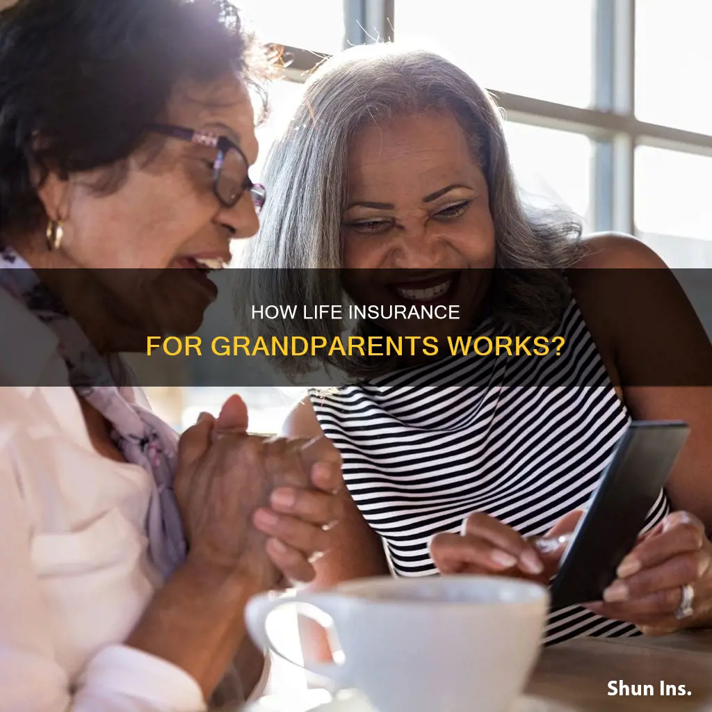 can you get life insurance on grandparents