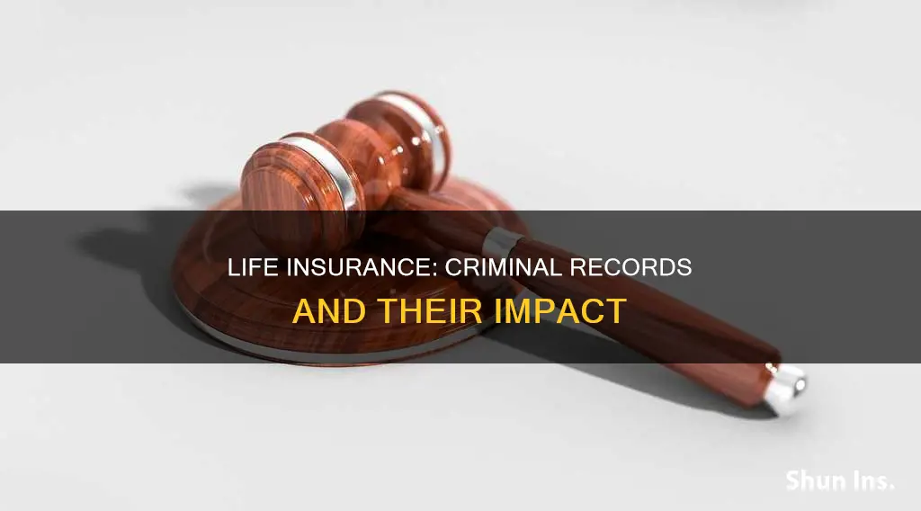 can you get life insurance with a criminal record