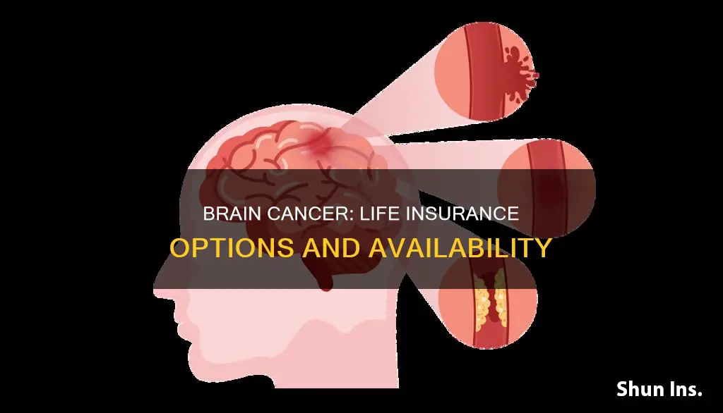 can you get life insurance with brain cancer