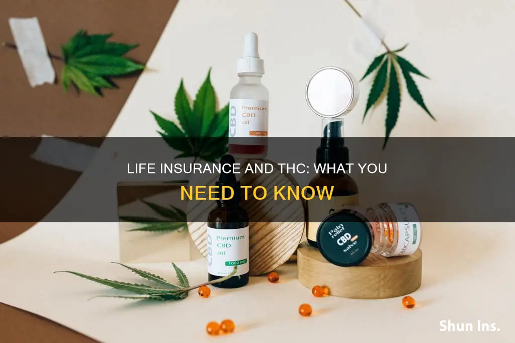 can you get life insurance with thc in your system