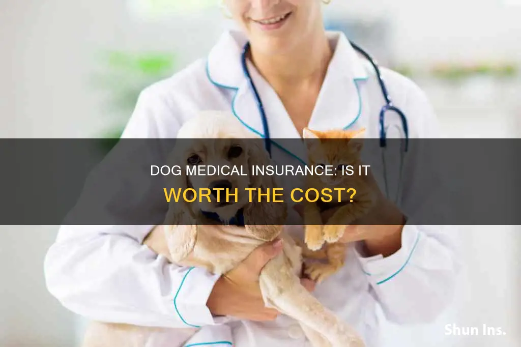 can you get medical insurance for a dog