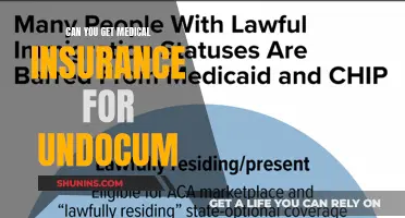 Undocumented Immigrants: Accessing Medical Insurance Options