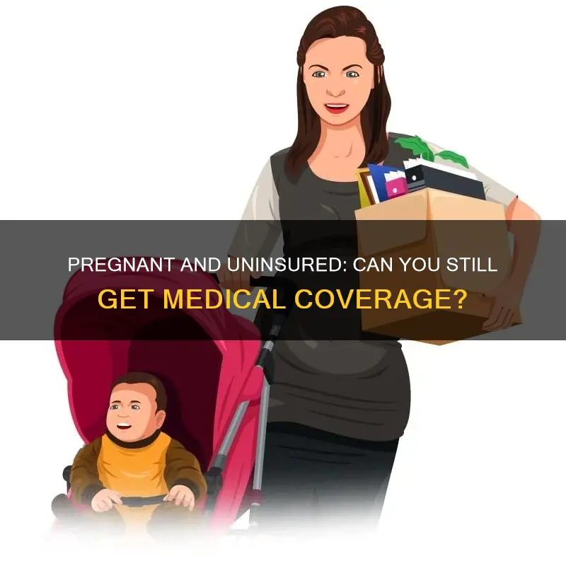 can you get medical insurance if you are already pregnant