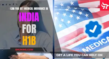 Medical Insurance Options for H1B Visa Holders in India