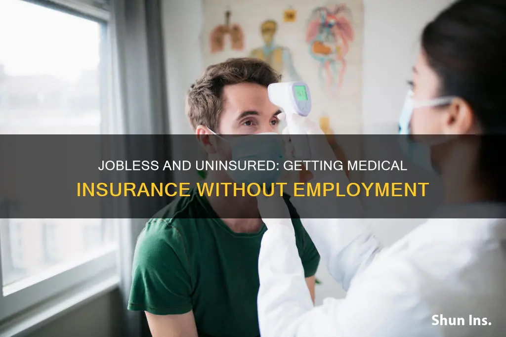 can you get medical insurance without a job