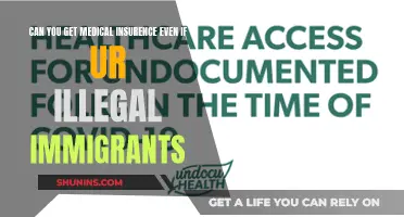 Medical Insurance Access for Undocumented Immigrants: What's Possible?