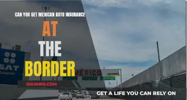 Border Crossing: Mexican Auto Insurance